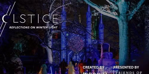 SOLSTICE 2025: Reflections on Winter Light at Mount Auburn