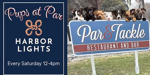 Pups at Par