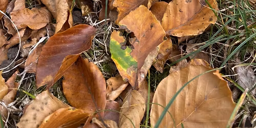 De Praatclub met thema: Wat heb ik los te laten.