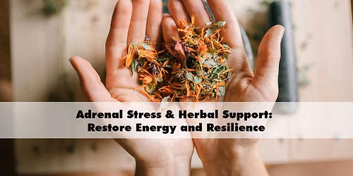 Adrenal Stress & Herbal Support: Restore Energy and Resilience