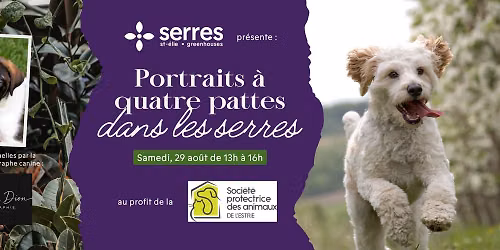 Portraits \u00e0 quatre pattes au profit de la SPA de l'Estrie \ud83c\udf3f\ud83d\udcf8\ud83d\udc3e