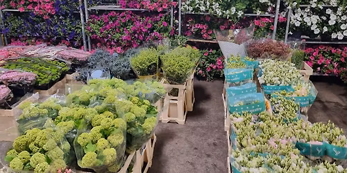 The peachy flower market club