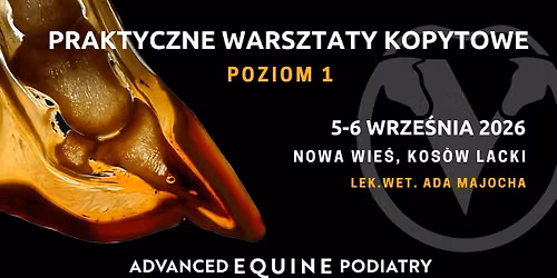 Praktyczne warsztaty kopytowe - poziom 1