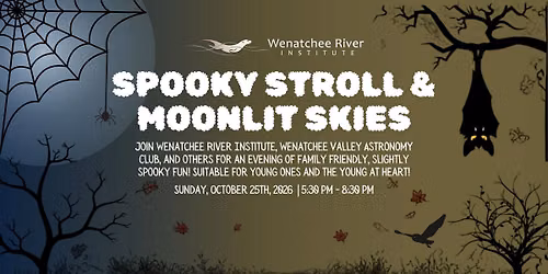 Spooky Stroll and Moonlit Skies