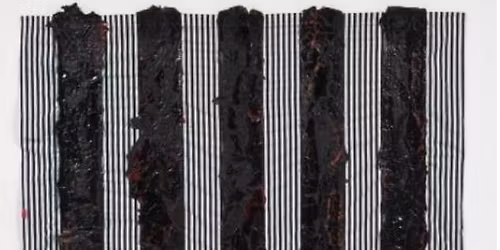 Art in Focus: Race and Gender in A Son of the Soil