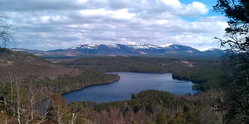 Castle Roy Car Boot Sale, Drop in or Book in!