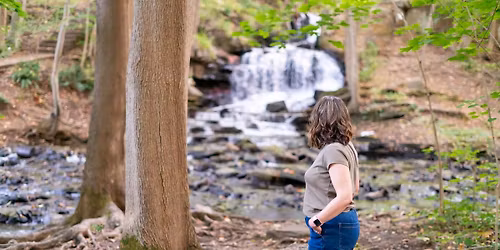 Emdr consultation group 