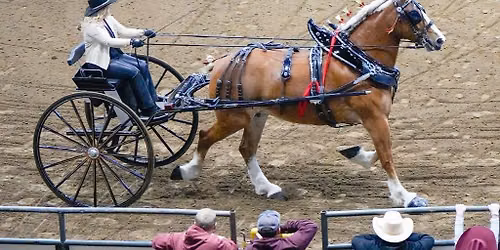 Draft Horse Show - Fri. Jan. 22 1pm