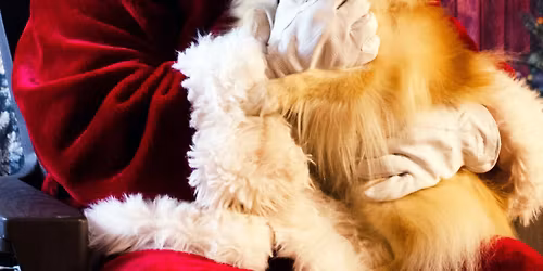 Pet Photos with Santa