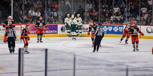 Grand Rapids Griffins vs. Rockford Icehogs