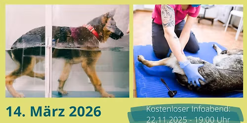 Hundephysiotherapie Fachausbildung mit hohem Praxisanteil