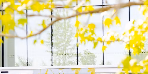 Conférence : « Garden Party, la nature comme décor et comme espace de vie »