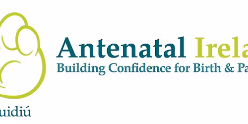 Cuidi\u00fa Cork May Antenatal Ireland Workshop