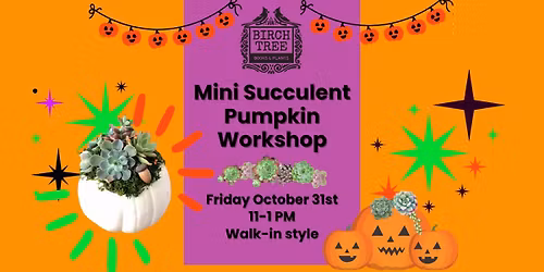 Walk-In Mini Succulent Pumpkin Workshop