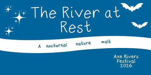 The River at Rest \u2013 A Nocturnal Nature Walk