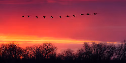 Great Midwest Crane Fest