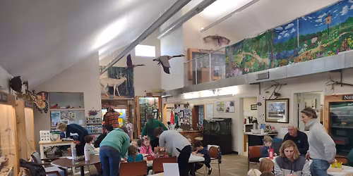 Toddler Tuesday: Owls!