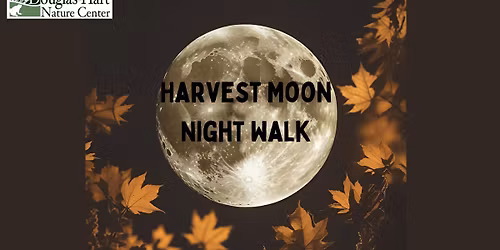 Harvest Moon Night Walk