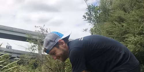 Waterview Neighbourly Creek Day