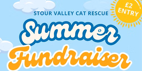 Summer Fundraiser