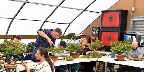 Bonsai Essentials 1: Workshop with Peter Olson