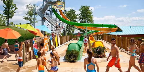 Parking David - The Musical - Branson