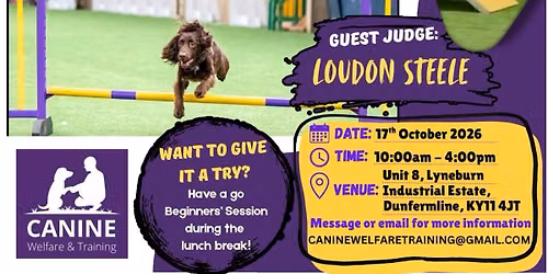 Fun Agility Competition at Canine Welfare and Training