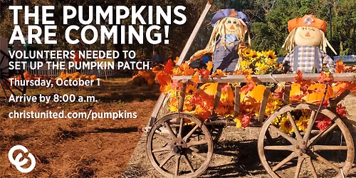 Pumpkin Patch Setup
