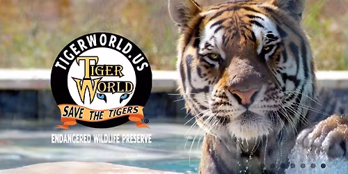 Field Trip to Tiger World