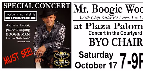 Palomino Nights presents Mr Boogie Woogie