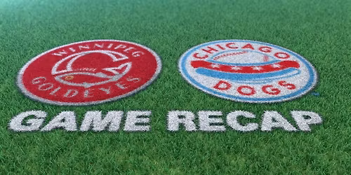 Winnipeg Goldeyes vs. Chicago Dogs