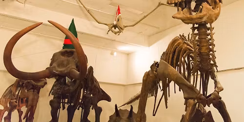 Sketch Together - UW Geology Museum