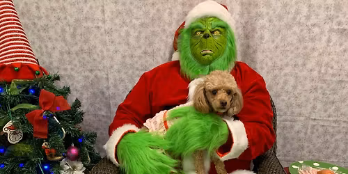 Paint with The Grinch-Pets 12\/13