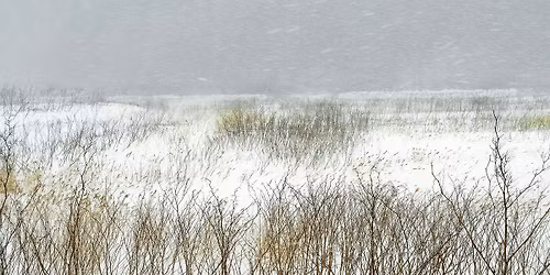 Vernissage de l'exposition de Catherine Henriette