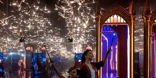 Harry Potter: Visions of Magic
