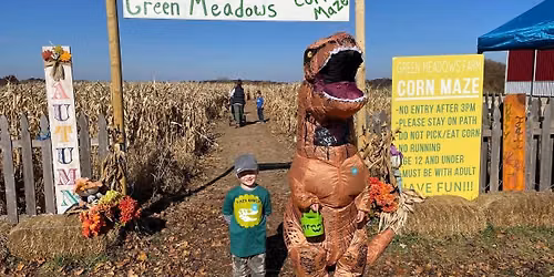 Green Meadows Trick-or-Treat CORN MAZE