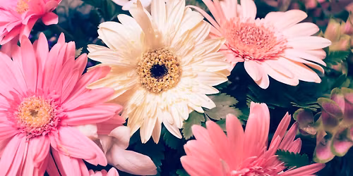 Motueka Garden Trail 2025