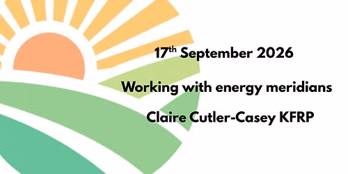 September networking and presentation on working with energy meridians.