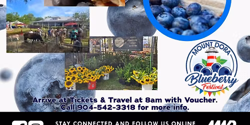 Mount Dora Blueberry Festival Day Trip