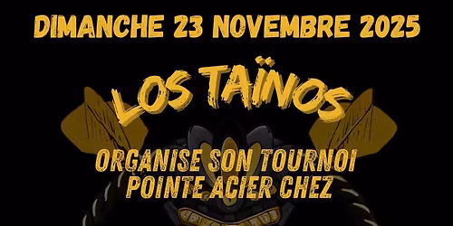tournoi de fl\u00e9chette pointe acier 