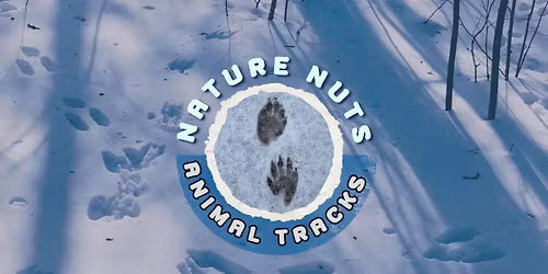 Nature Nuts: Animal Tracks