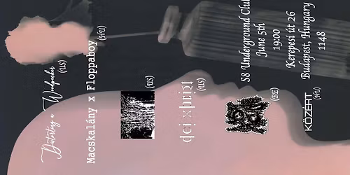 Distorting a Woodpecker [USA] | Macskalany X Floppaboy | K\u00f6z\u00e9rt | +3 Zenekar - S8 Underground Club