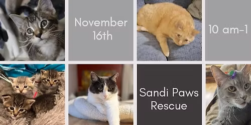 Cat & Dog Adoption Event