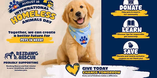 International Homeless Animals Day: Give Today, Change Tomorrow