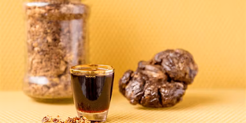 Propolis Tincture | Make & Take Hands-On | In-Person