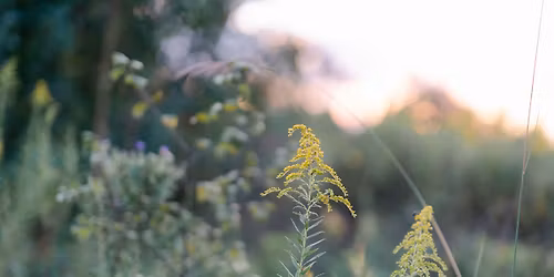 Ypsilanti Death Cafe