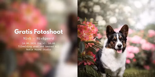 Gratis Fotoshoot - Niv\u00e5
