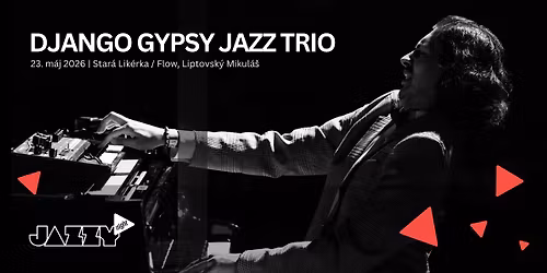 JAZZY NIGHT: Django Gypsy Jazz Trio