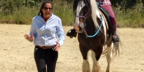 Stage "Equitation Ethologique" avec Nadia Saleh cursus Andy Booth le 27 et 28 Juin 2026