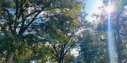 Hoffman's 1st Annual Pecan Festival